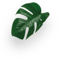 Starbucks® HOUSE BLEND GRANDE decoration Image